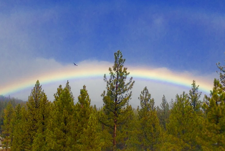 Trees and rainbow over Lonesome Ranch